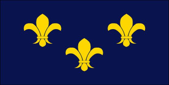 Blue French Fleur-de-Lis Nylon Flag