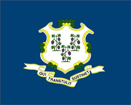 Connecticut Rayon Stick Flag