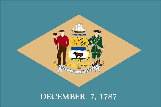 Delaware Rayon Stick Flag