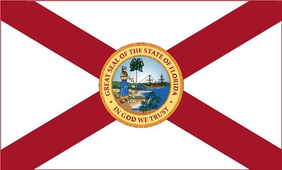 Florida Rayon Stick Flag