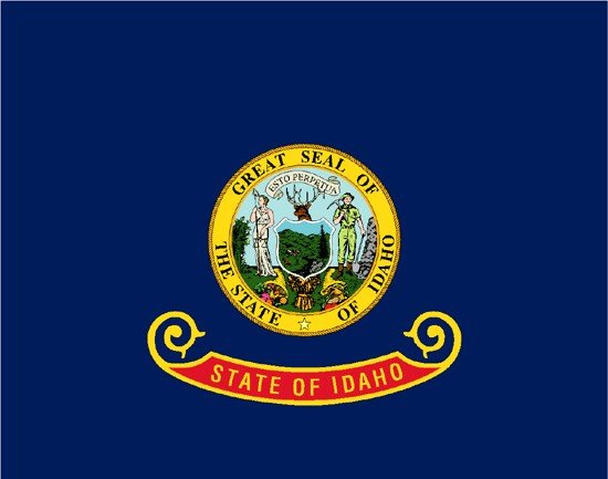 Idaho Rayon Stick Flag