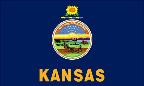 Kansas Rayon Stick Flag