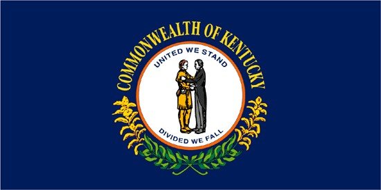 Kentucky Rayon Stick Flag