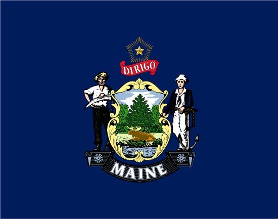 Maine Rayon Stick Flag