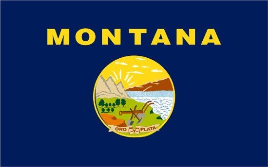 Montana Nylon Flag