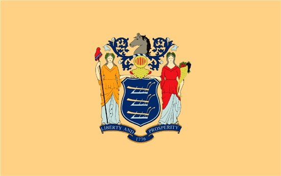 New Jersey Nylon Flag