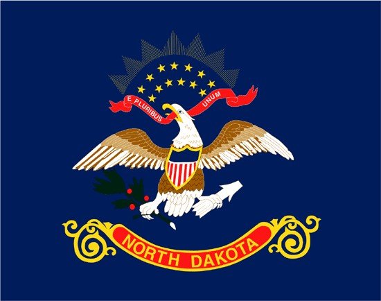 North Dakota Rayon Stick Flag