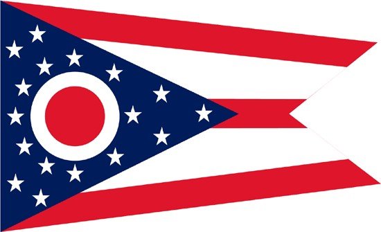 Ohio Rayon Stick Flag