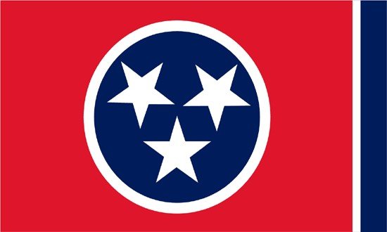 Tennessee Rayon Stick Flag