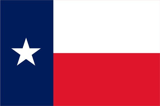 Texas Rayon Stick Flag