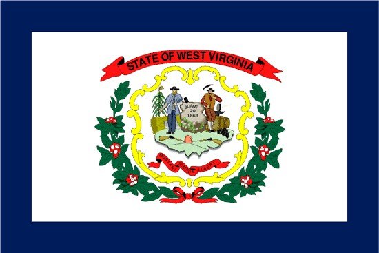 West Virginia Rayon Stick Flag