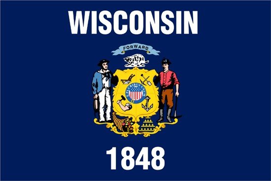 Wisconsin Rayon Stick Flag