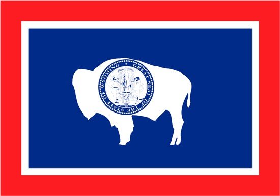 Wyoming Rayon Stick Flag
