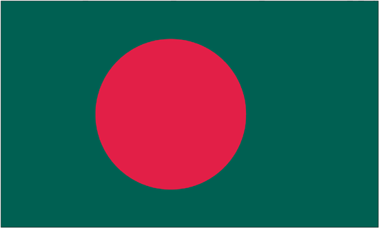 Bangladesh Rayon Stick Flag