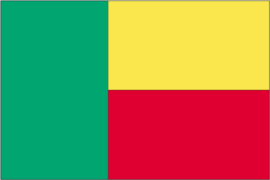 Benin Nylon Flag