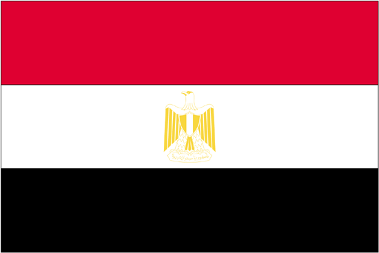Egypt Nylon Flag