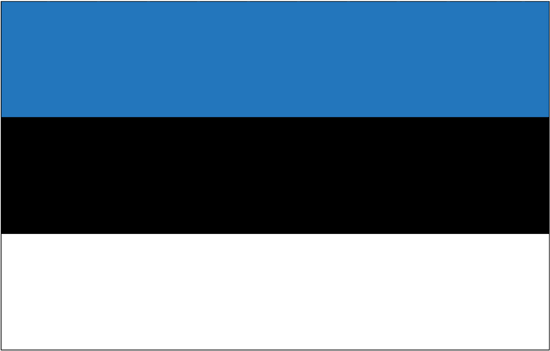 Estonia Nylon Flag