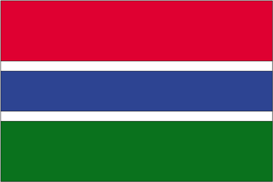 Gambia Rayon Stick Flag