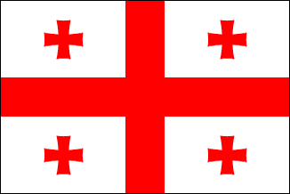 Georgia Rayon Stick Flag