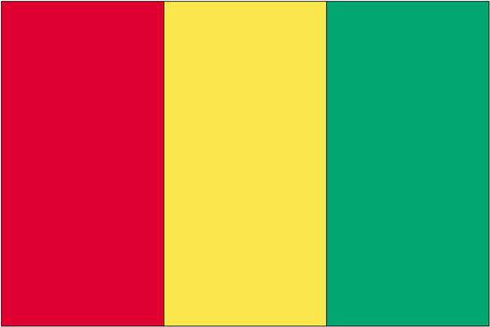Guinea Rayon Stick Flag