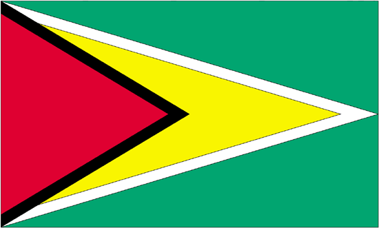Guyana Rayon Stick Flag