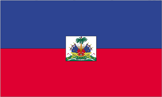 Haiti Rayon Stick Flag