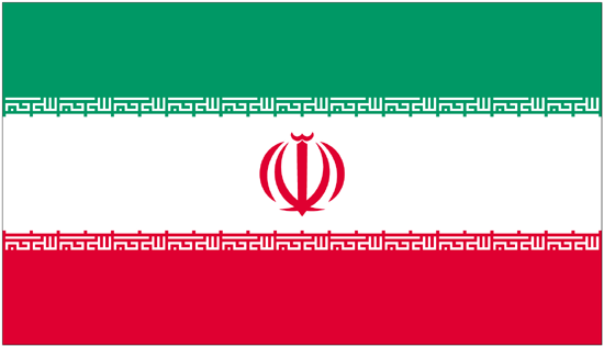 Iran Govt. Nylon Flag