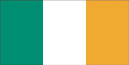 Ireland Govt. Nylon Flag