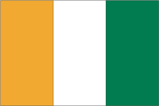 Ivory Coast Govt. Nylon Flag