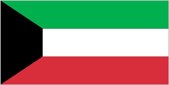 Kuwait Rayon Stick Flag