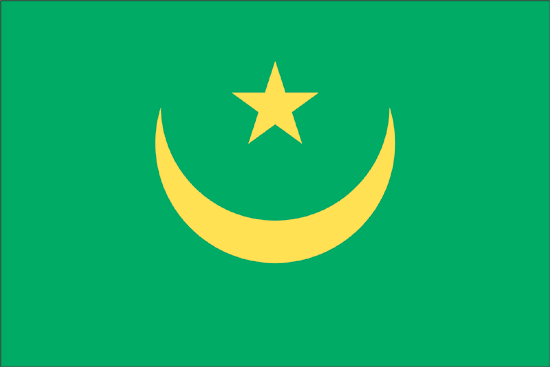 Mauritania Govt. Nylon Flag