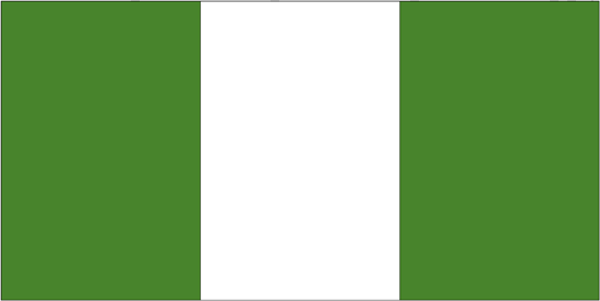 Nigeria Govt. Nylon Flag