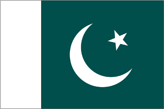 Pakistan Rayon Stick Flag