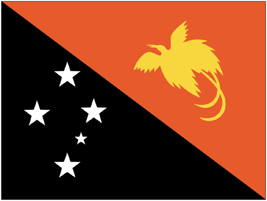 Papua-New Guinea Rayon Stick Flag