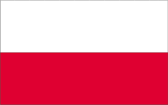 Poland Rayon Stick Flag