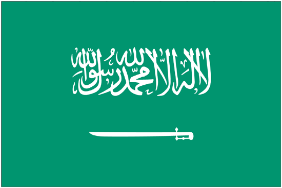 Saudi Arabia Nylon Flag