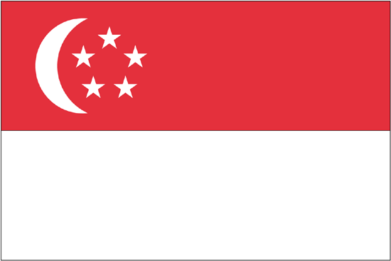 Singapore Nylon Flag