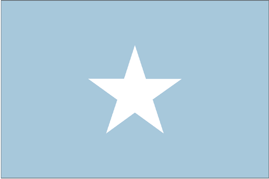 Somalia Nylon Flag