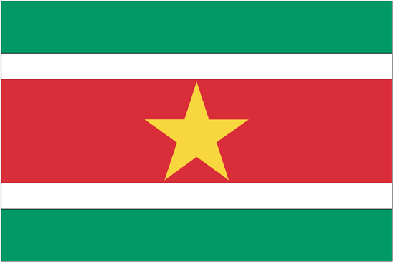 Suriname Nylon Flag