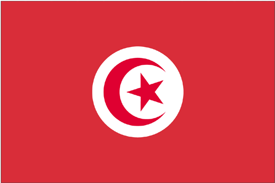 Tunisia Nylon Flag