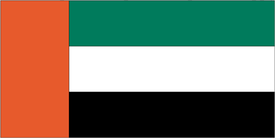 United Arab Emirates Govt. Nylon Flag