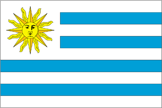 Uruguay Govt. Nylon Flag