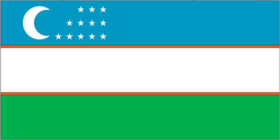 Uzbekistan Nylon Flag