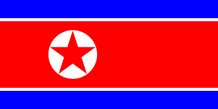 North Korea Govt. Nylon Flag