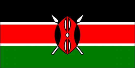 Kenya Rayon Stick Flag