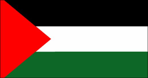 Palestine Rayon Stick Flag