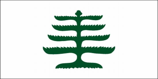 Pine Tree Nylon Flag