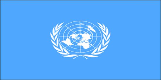 United Nations Nylon Flag