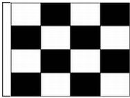 Checkered Nylon Race Flag