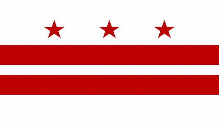 District of Columbia Rayon Stick Flag